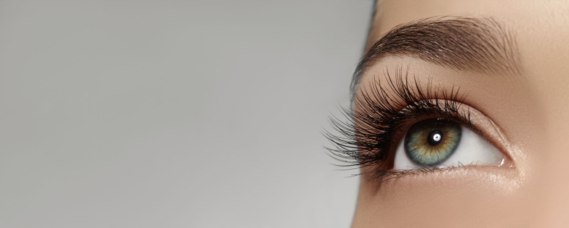 Nahaufnahme eines Auges mit langen Wimpern und gepflegten Augenbrauen vor grauem Hintergrund.