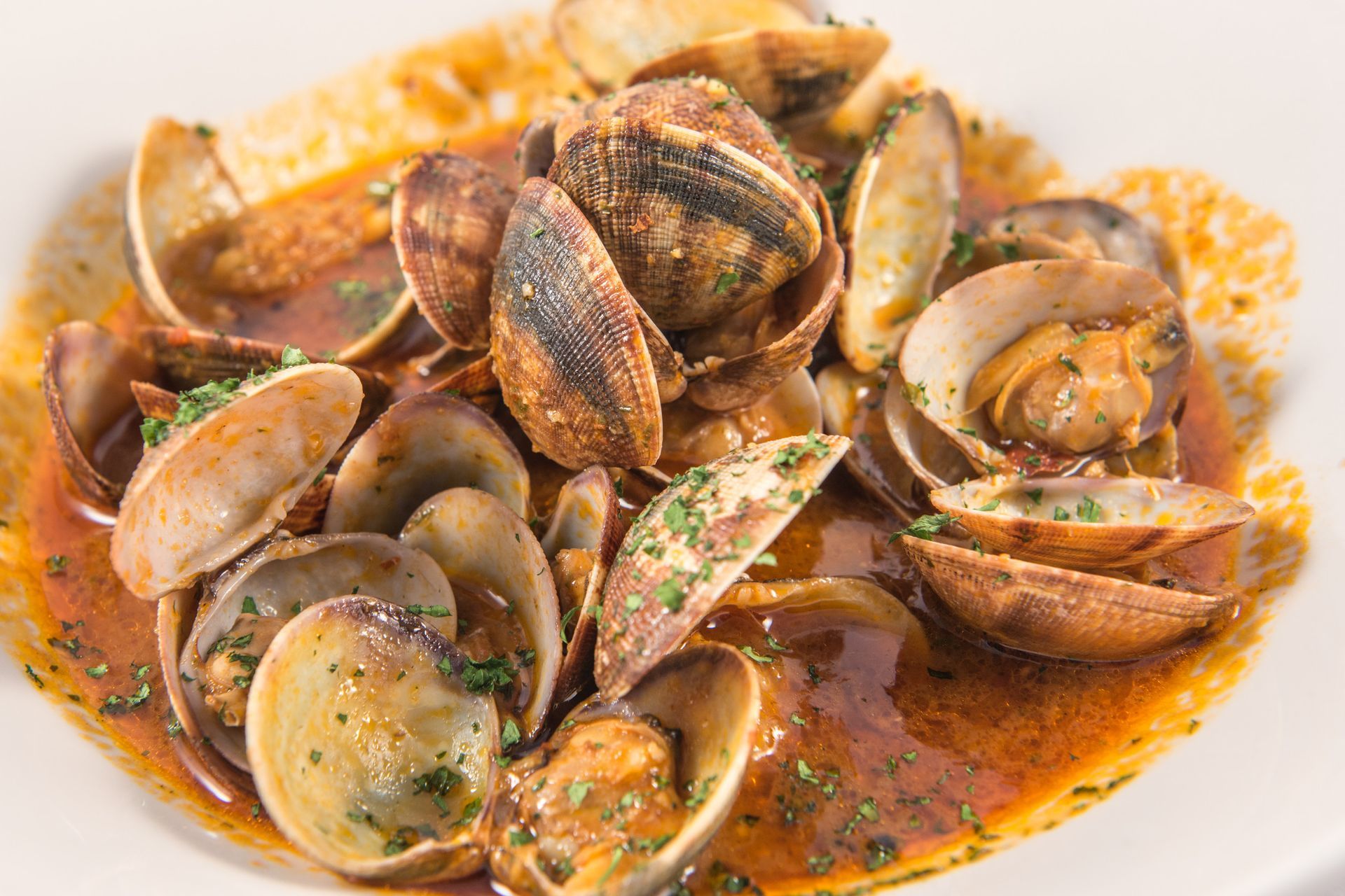 Un plato blanco cubierto con almejas y salsa sobre una mesa.