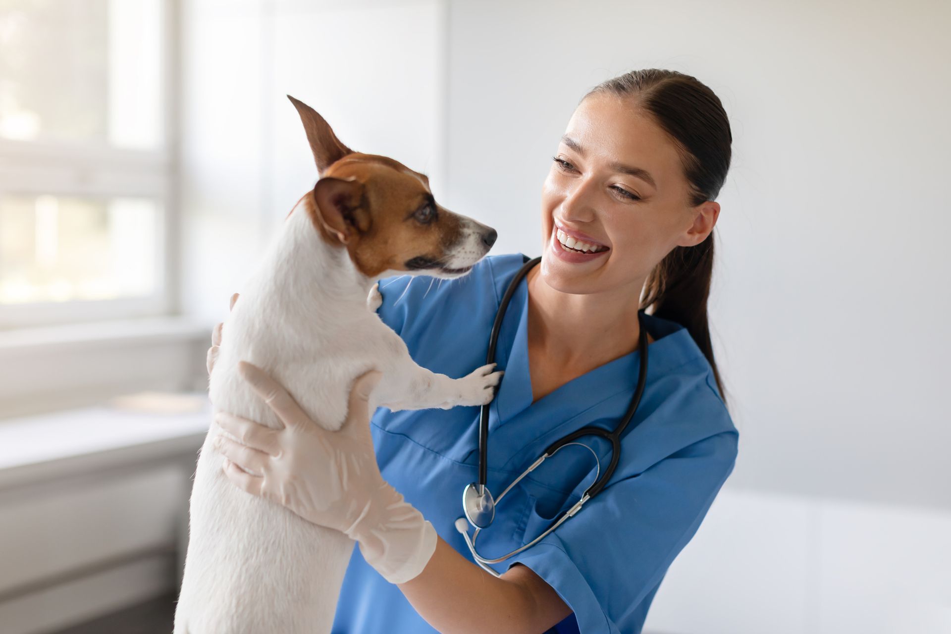 Clínica Veterinária Olha O Bicho
