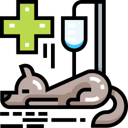 Clínica Veterinária Olha O Bicho
