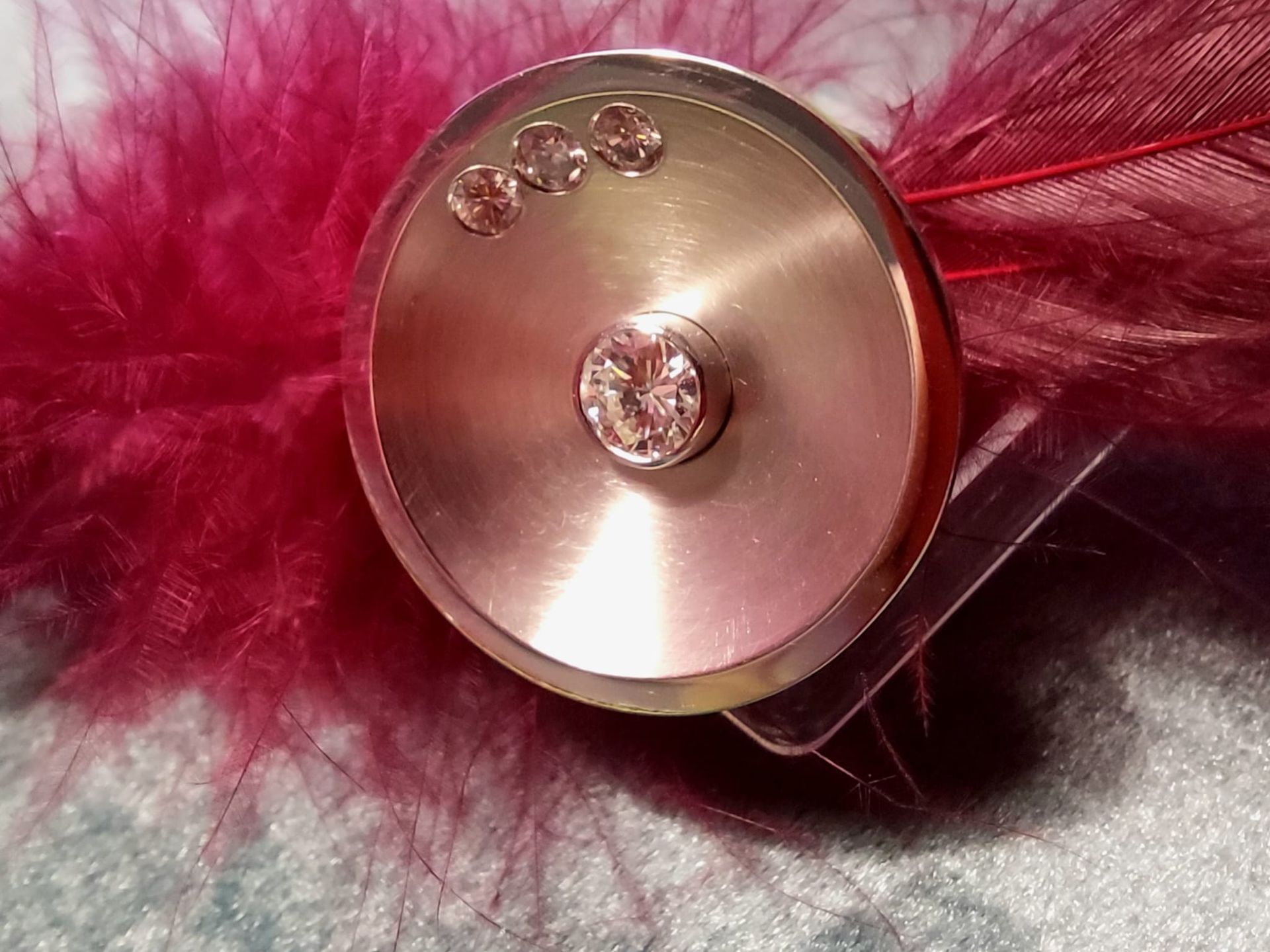 Runde, goldfarbene Brosche mit einem großen Edelstein in der Mitte und drei kleineren, vor roten Federn.