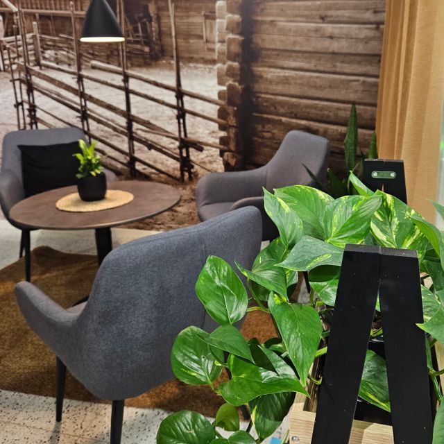 kahvilakodinsydakahvilakodinsydann