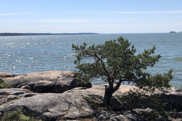 Työyhteisövalmennus Kivi. Oy