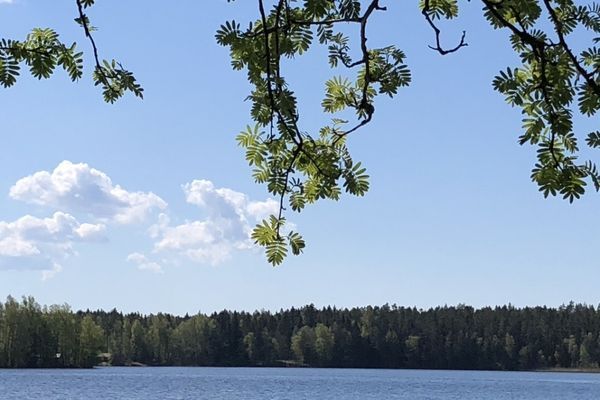 Työyhteisövalmennus Kivi. Oy
