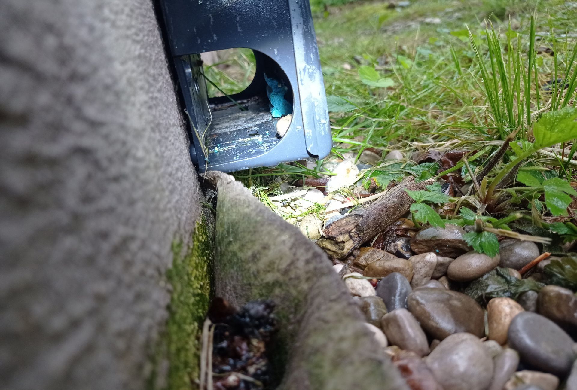 Piège pour dératiser