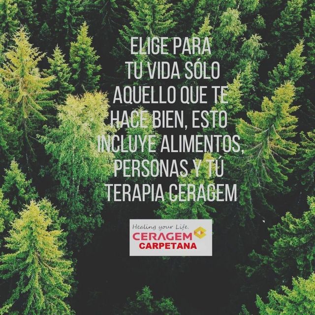 Fondo de bosque con texto motivacional en español sobre elegir solo lo que te hace bien