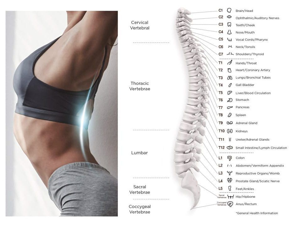 Mujer arqueando la espalda con sujetador deportivo junto a un diagrama de la columna vertebral que resalta el dolor lumbar.