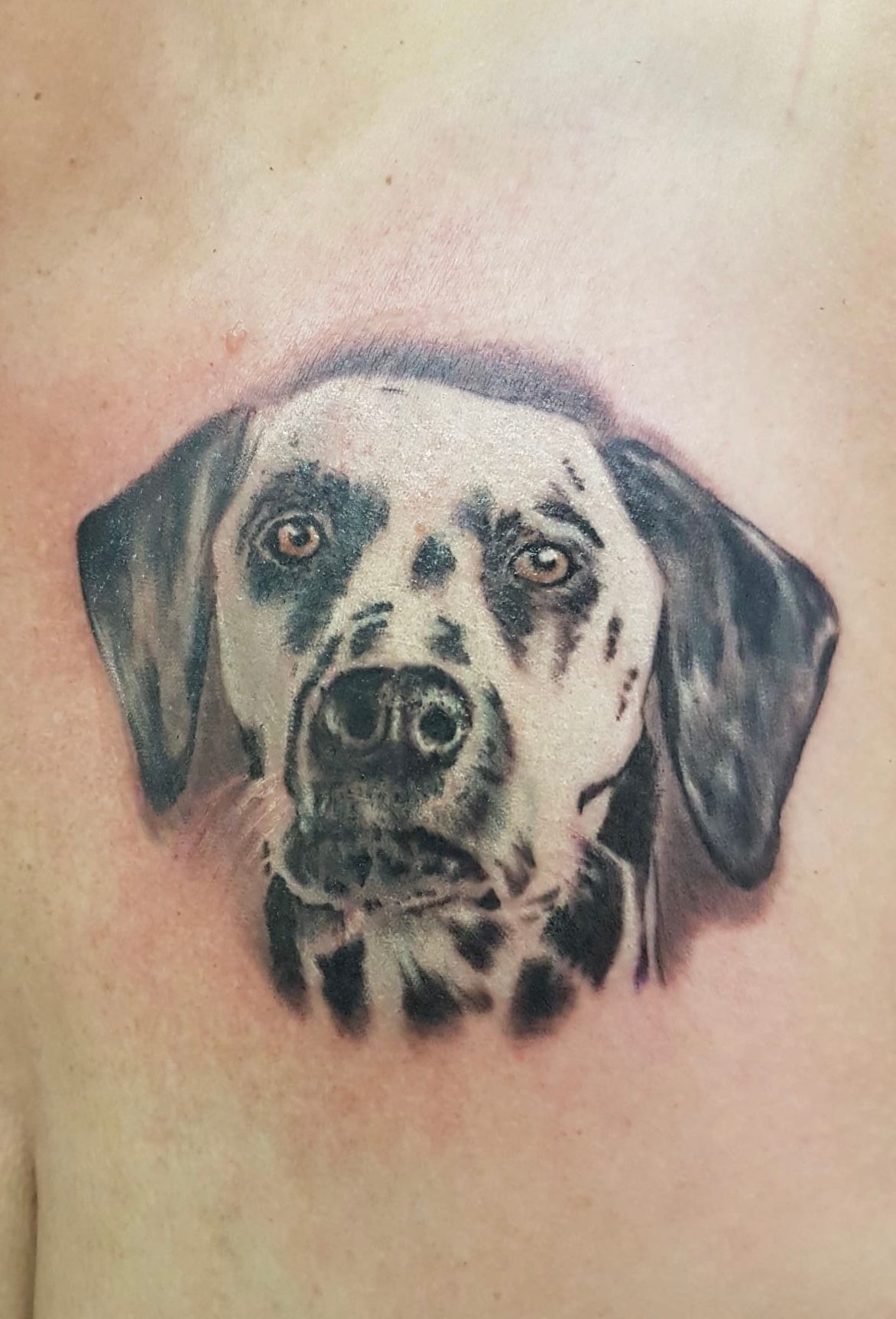 Photorealistisches Tattoo - Feel Ink Tattoo Studio - Urdorf