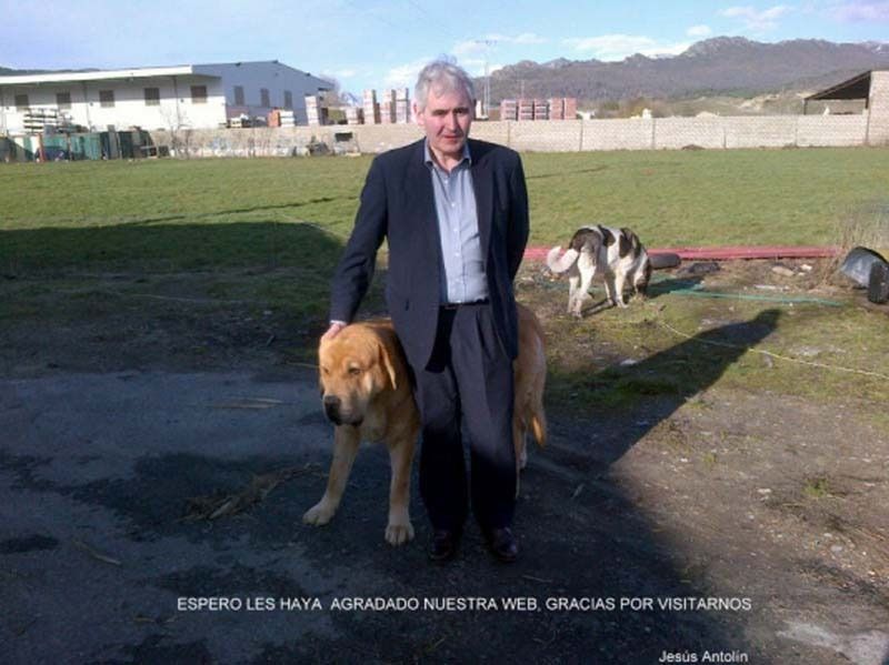 Un hombre con traje está de pie junto a un perro.
