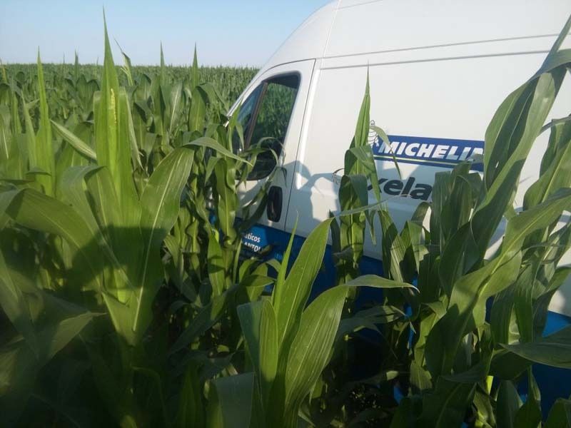 Una furgoneta Michelin está estacionada en un campo de maíz.