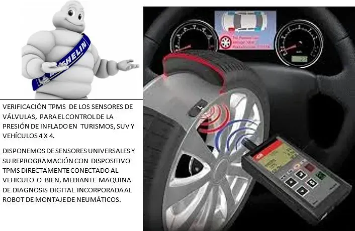 Una imagen de un neumático junto a una imagen de un volante.