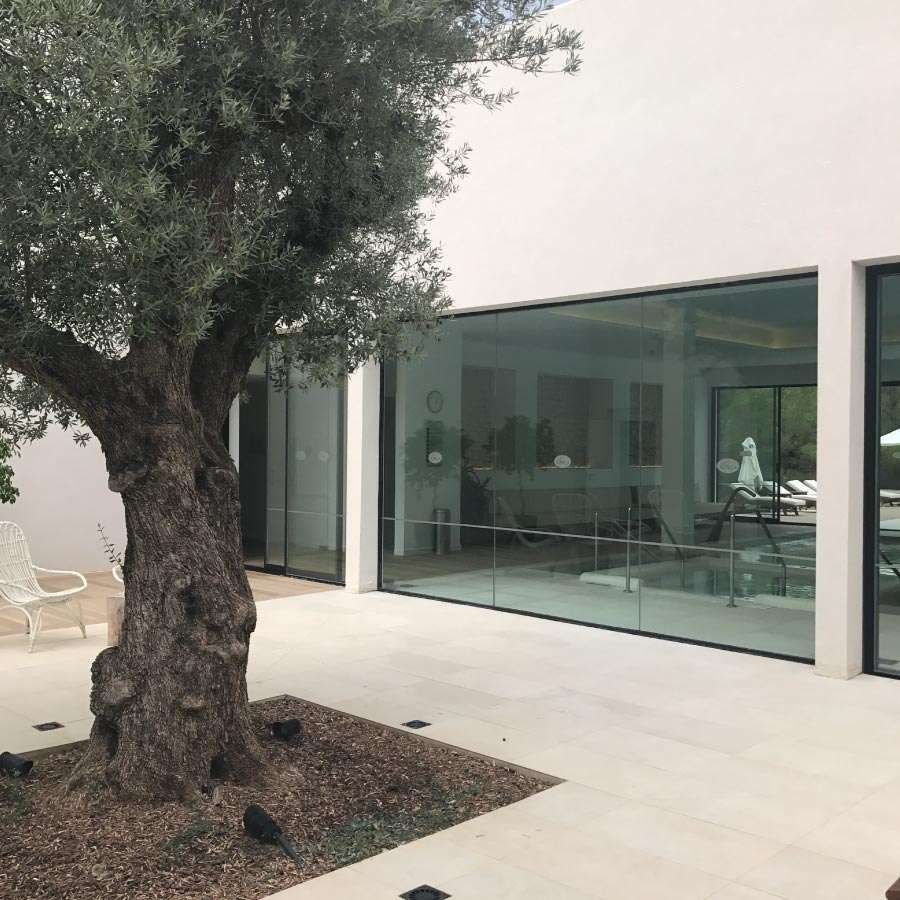 Un árbol frente a una casa con muchas ventanas.