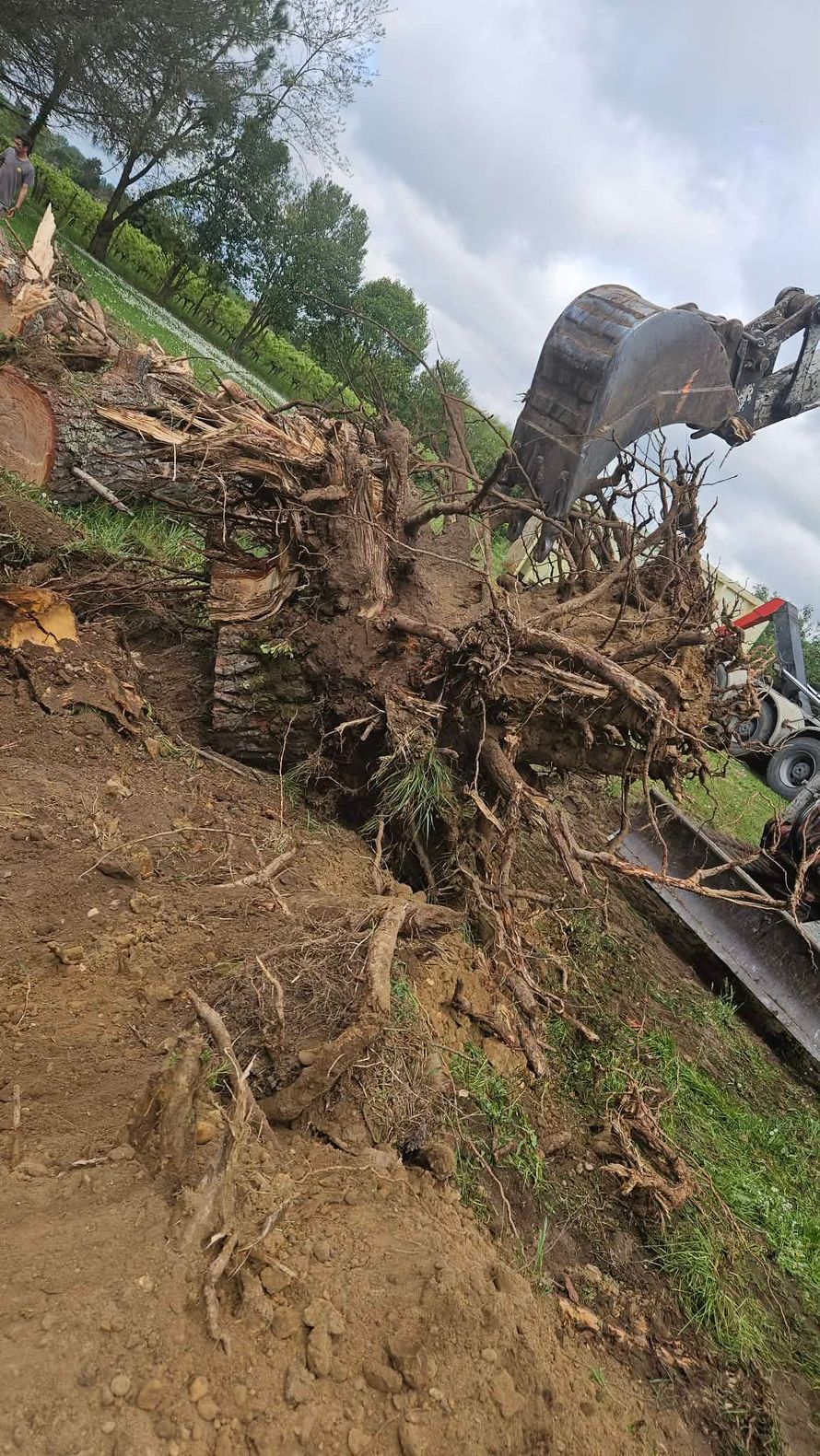 Une excavatrice dégage un glissement de terrain boueux sur un versant escarpé en bordure de route, jonchée de terre et de débris.