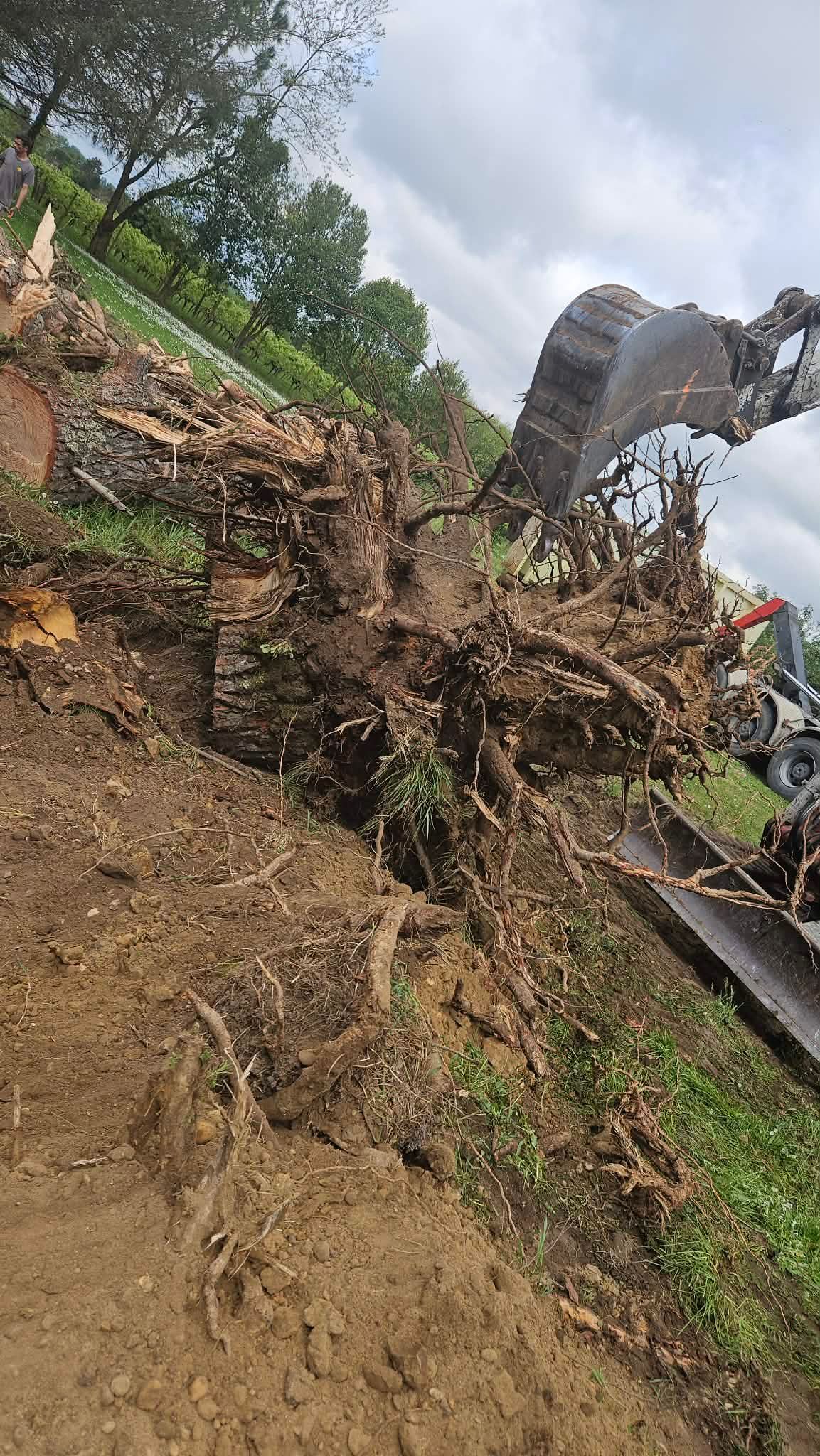 Pente abrupte en terre bordant une route, une excavatrice dégageant les débris après un glissement de terrain.