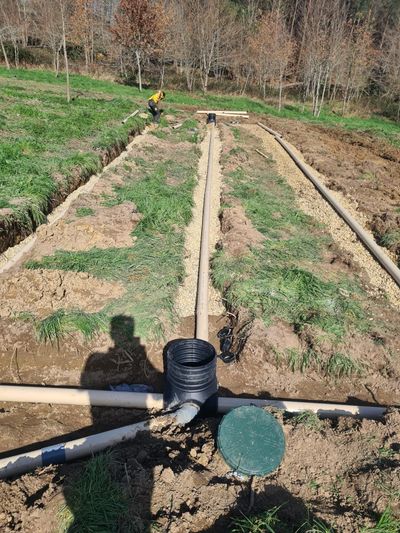 Champ irrigué avec des rangées surélevées, des tuyaux noirs et une vanne au premier plan sous des arbres dénudés.