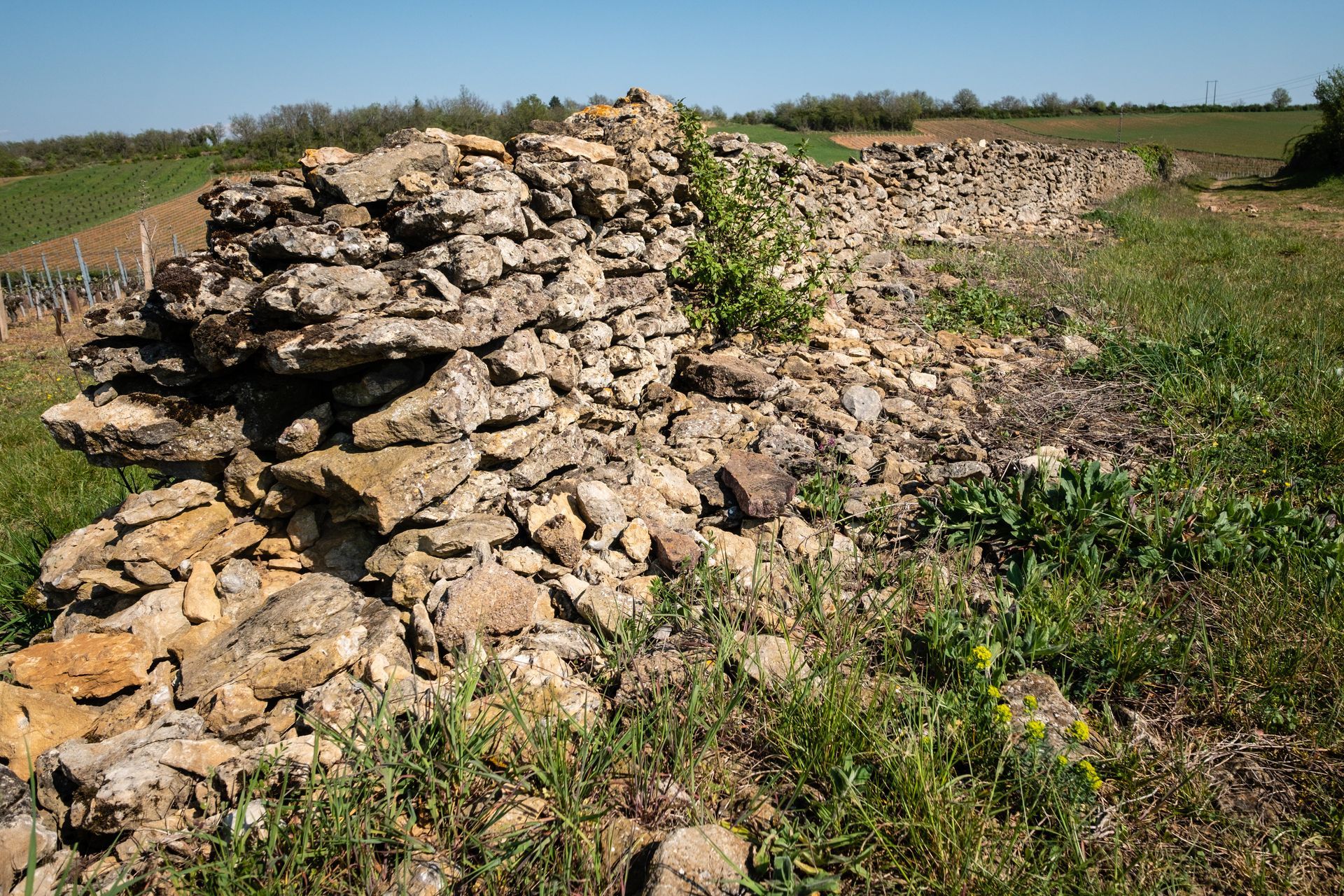 Ruines d'un mur de pierre dans un champ herbeux sous un ciel bleu clair.