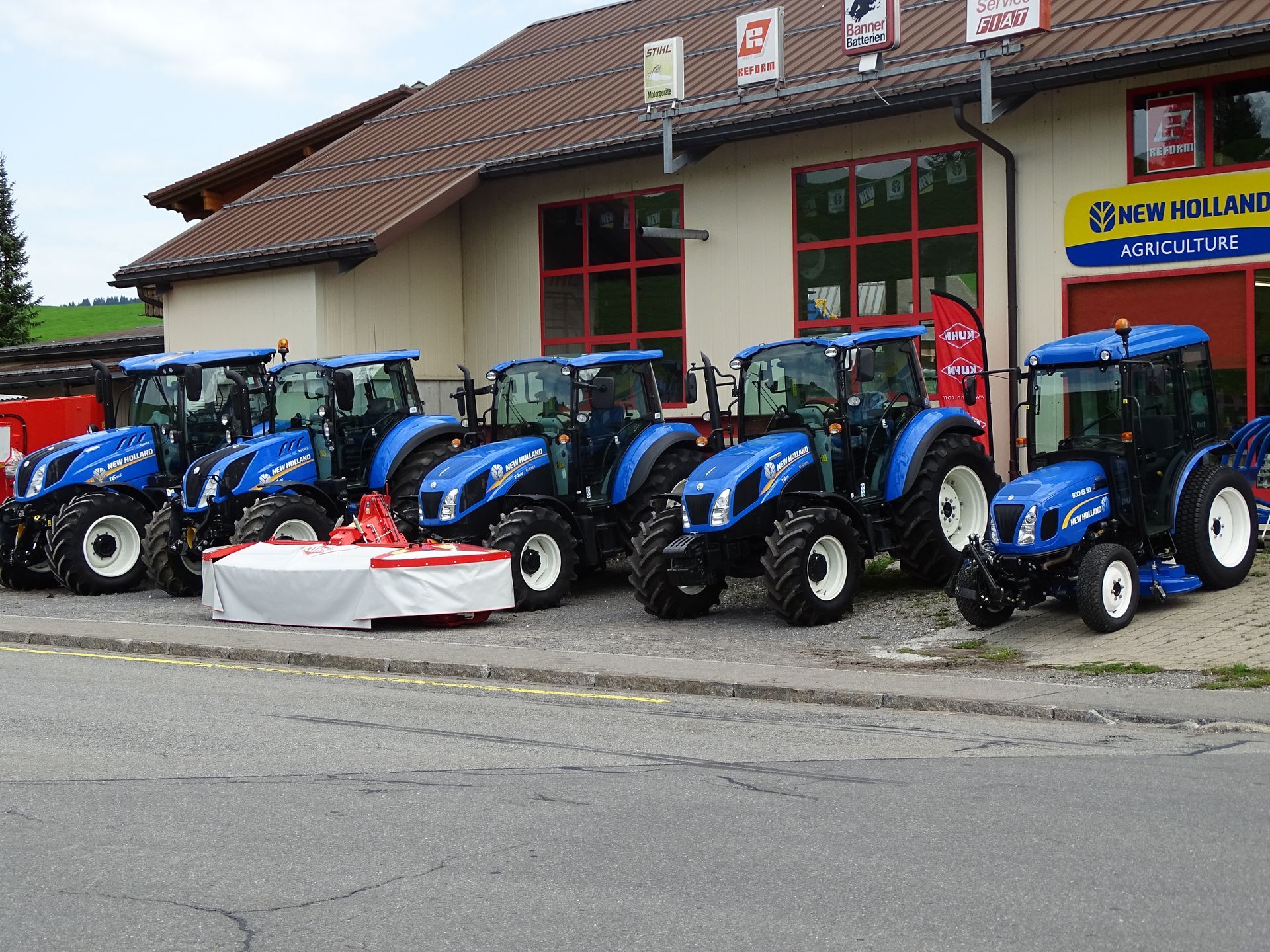 Nahaufnahme eines Baumstamms in einem Wald, durch dessen Bäume Sonnenlicht fällt.