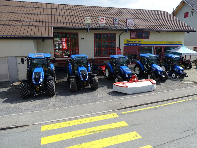 Nahaufnahme eines Baumstamms in einem Wald, durch dessen Bäume Sonnenlicht fällt.