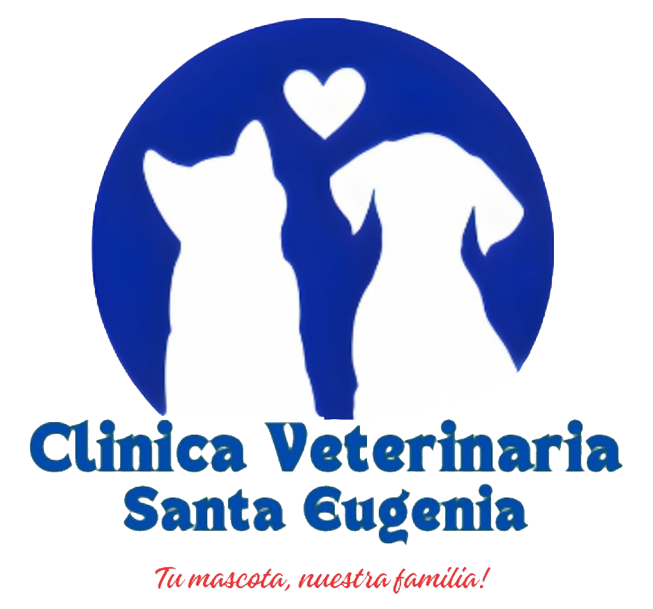 logotipo cabecera