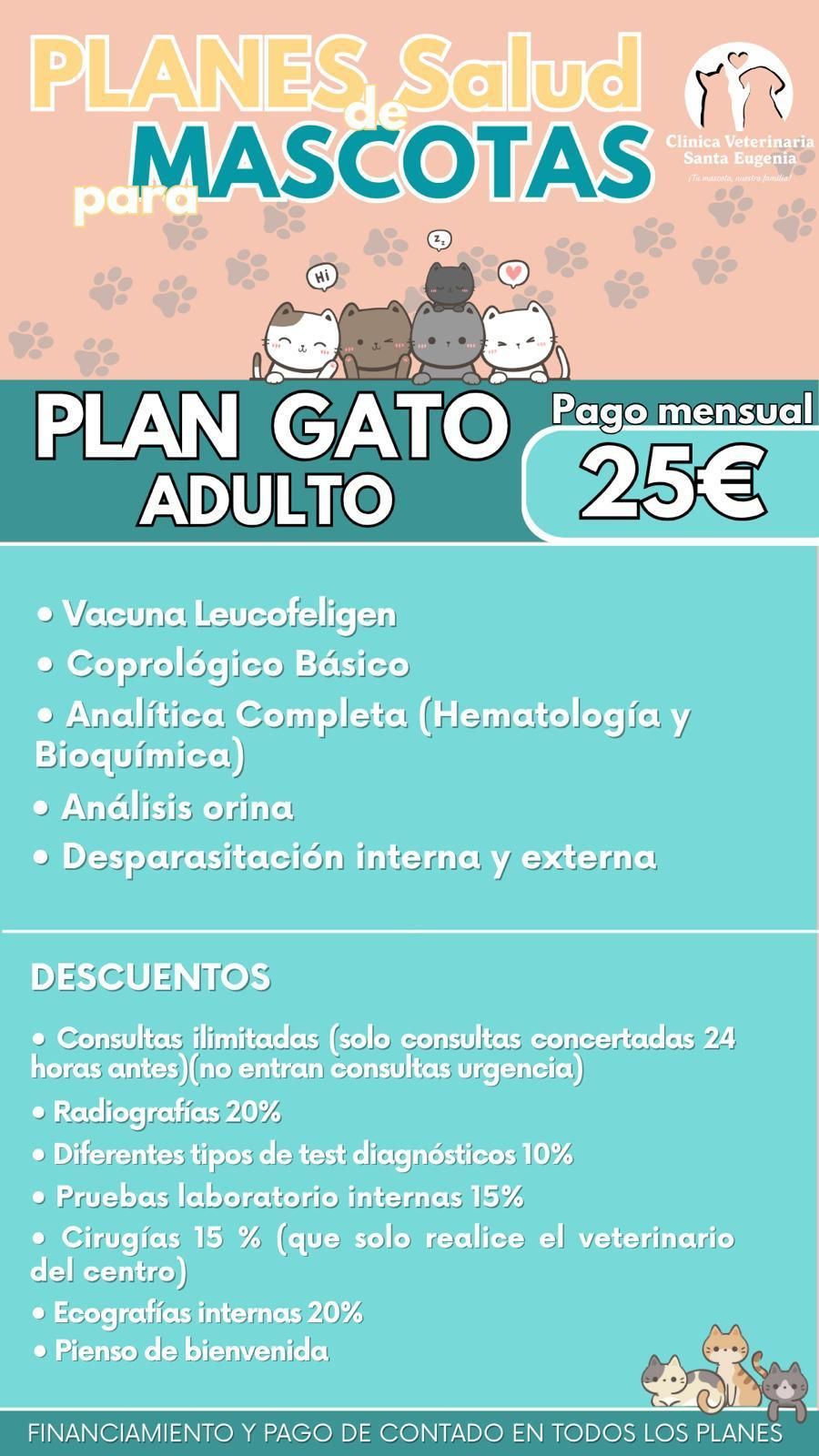 Anuncio de plan de salud para mascotas con un gato. El texto destaca los detalles del plan, el precio (25 €)