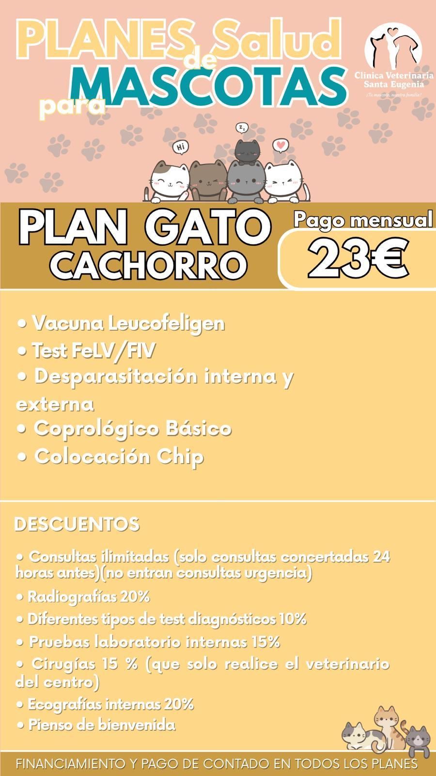 Anuncio de un plan de salud para gatos. Texto e ilustraciones sobre fondo amarillo, promocionando un plan mensual por 23 €.