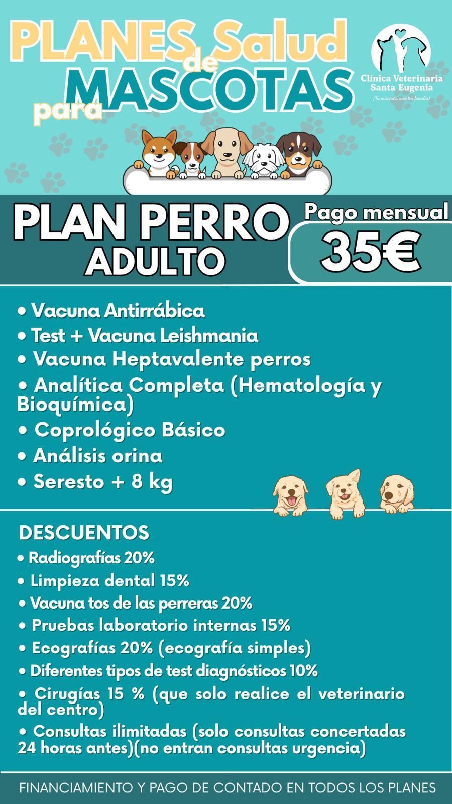 Anuncio de planes de salud para mascotas. Incluye un perro, una cuota mensual, servicios y descuentos.