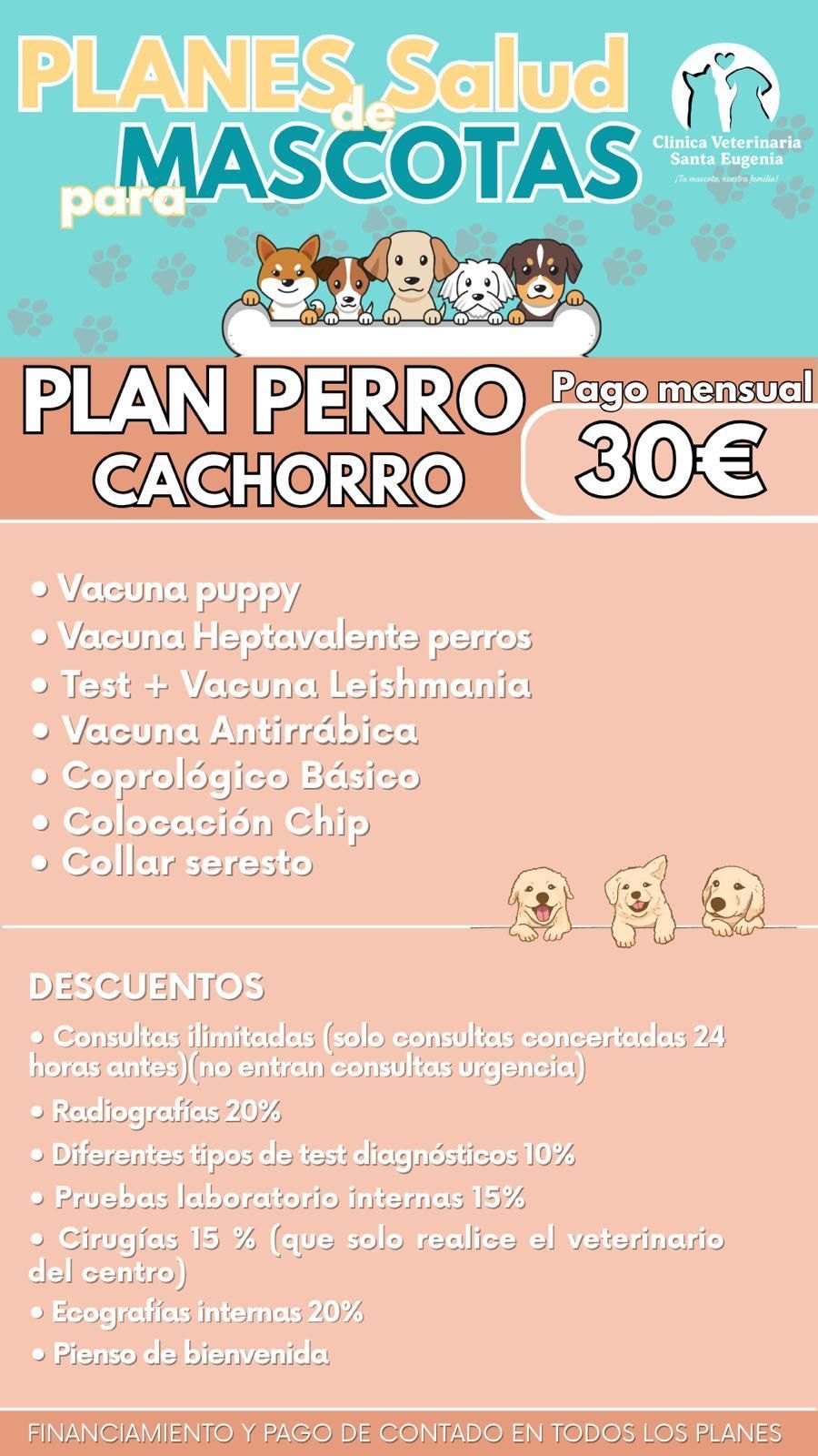 Anuncio de un plan de salud para cachorros: Texto e ilustraciones sobre fondo melocotón con precio.