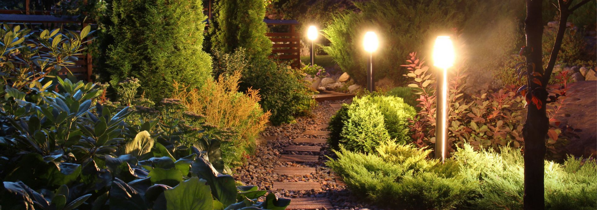 Un jardin éclairé la nuit.