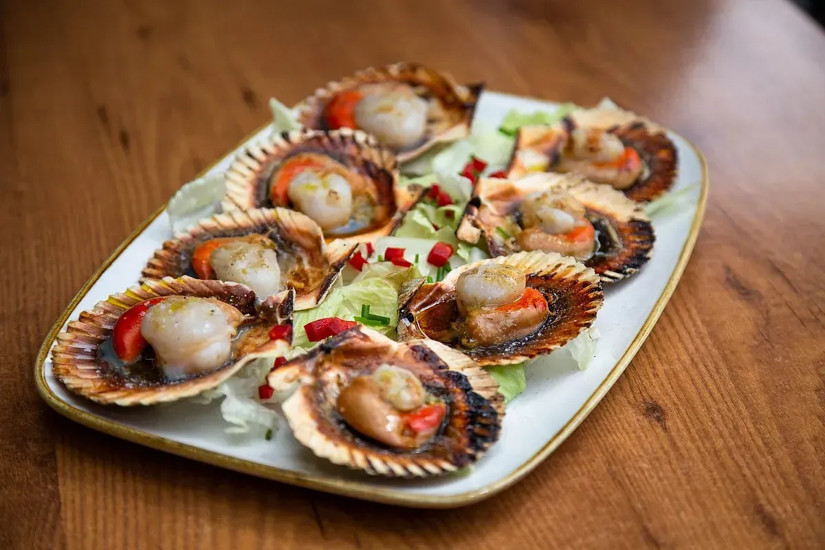 Vieiras a la plancha en su concha, servidas en un plato blanco con lechuga y virutas rojas sobre una mesa de madera.