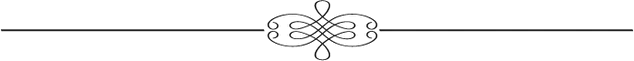 Línea horizontal gris con un adorno decorativo y simétrico en el centro.