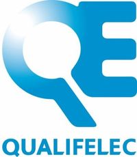 Logo Qualifelec - page Accueil