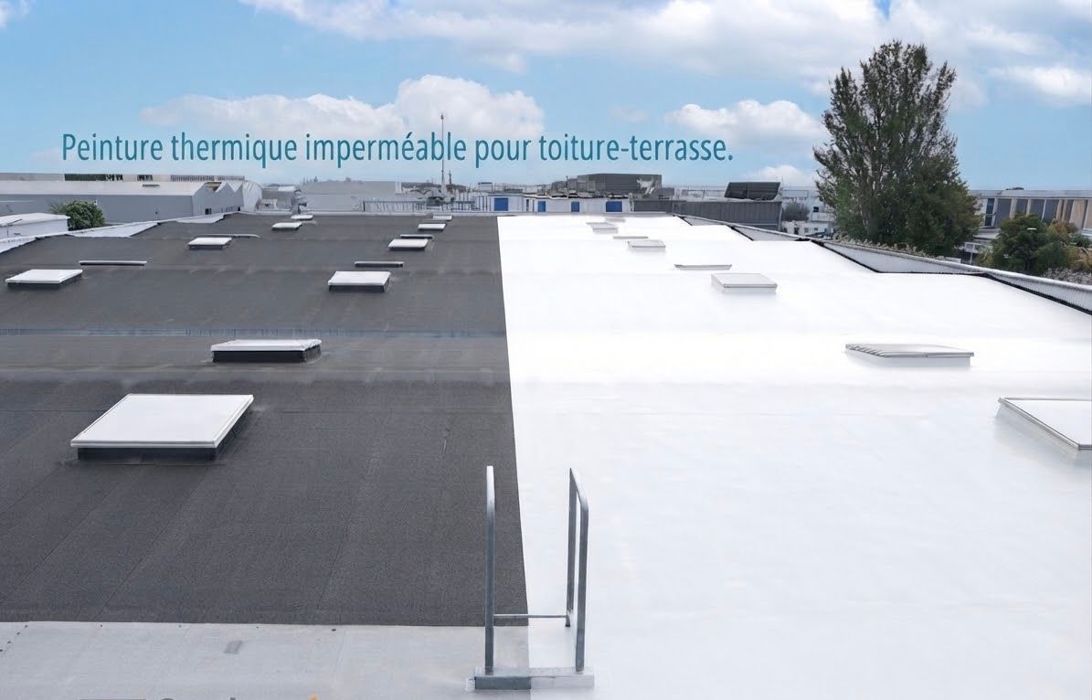 Toiture avec des sections de membrane thermique gris foncé et blanche et plusieurs puits de lumière sous un ciel nuageux