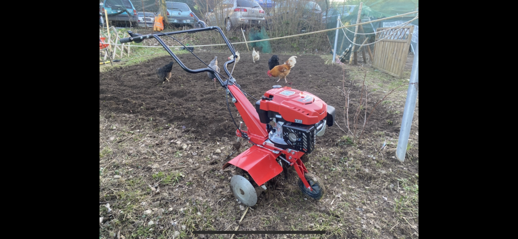 Chessmann Locations Genève