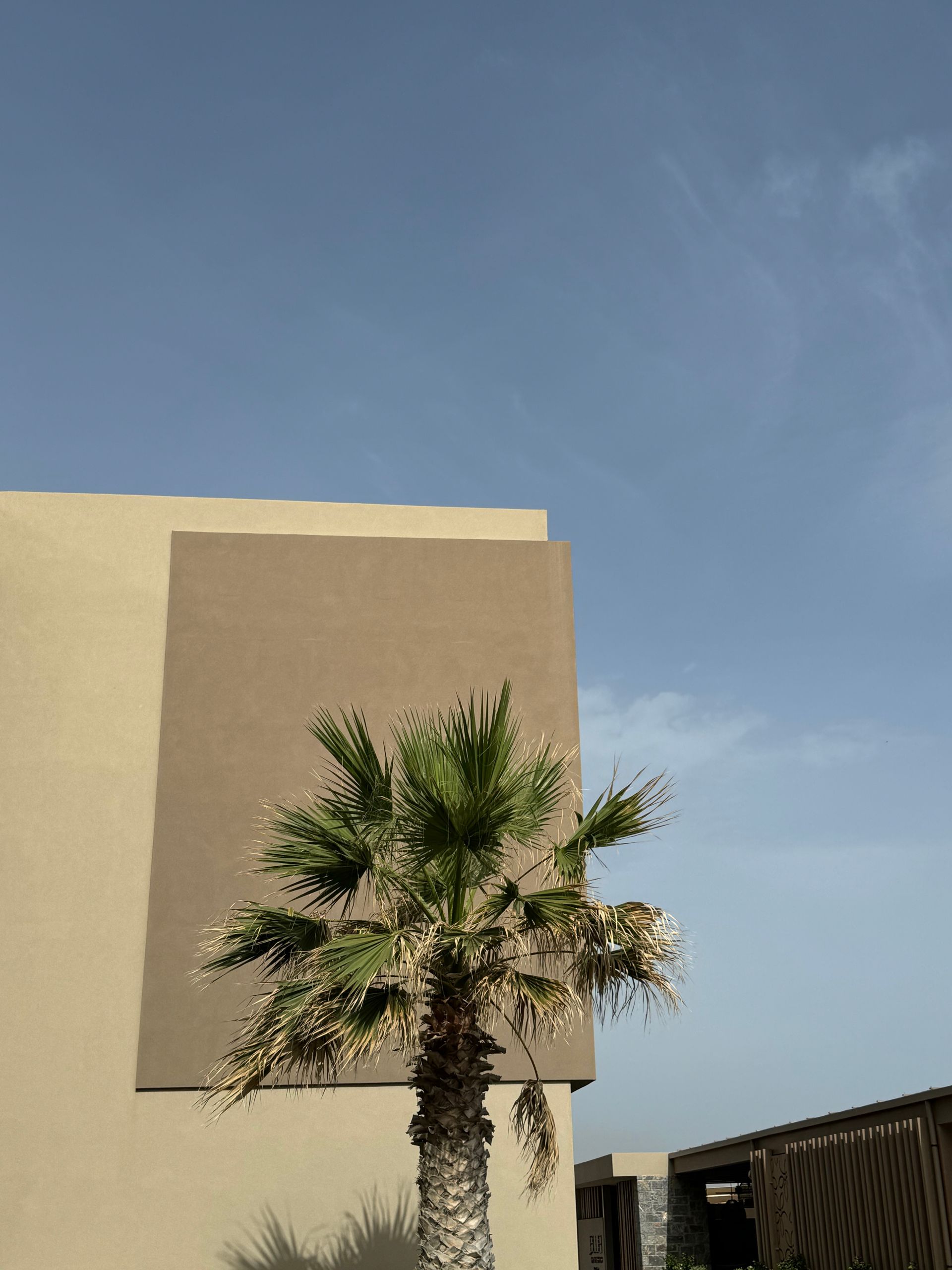 Palmera frente a un edificio color canela con un cielo azul de fondo.