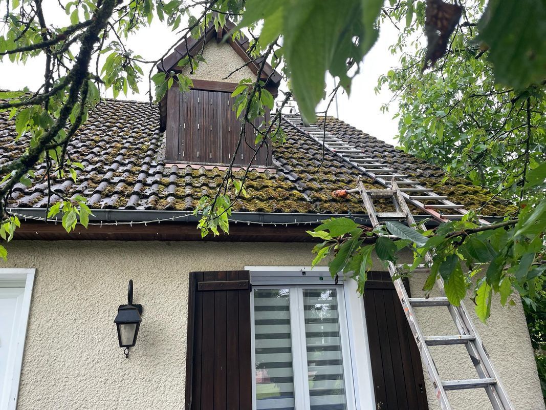 Toit de maison en bardeaux foncés, lucarne et mur en stuc blanc encadré par des branches d'arbres vertes.