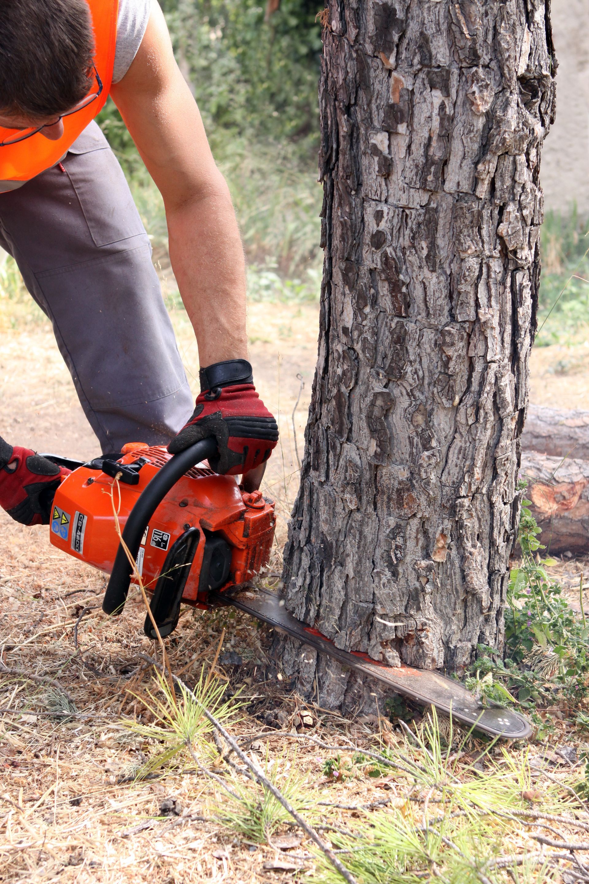 Une personne utilise une tronçonneuse pour couper un tronc d'arbre à l'extérieur.