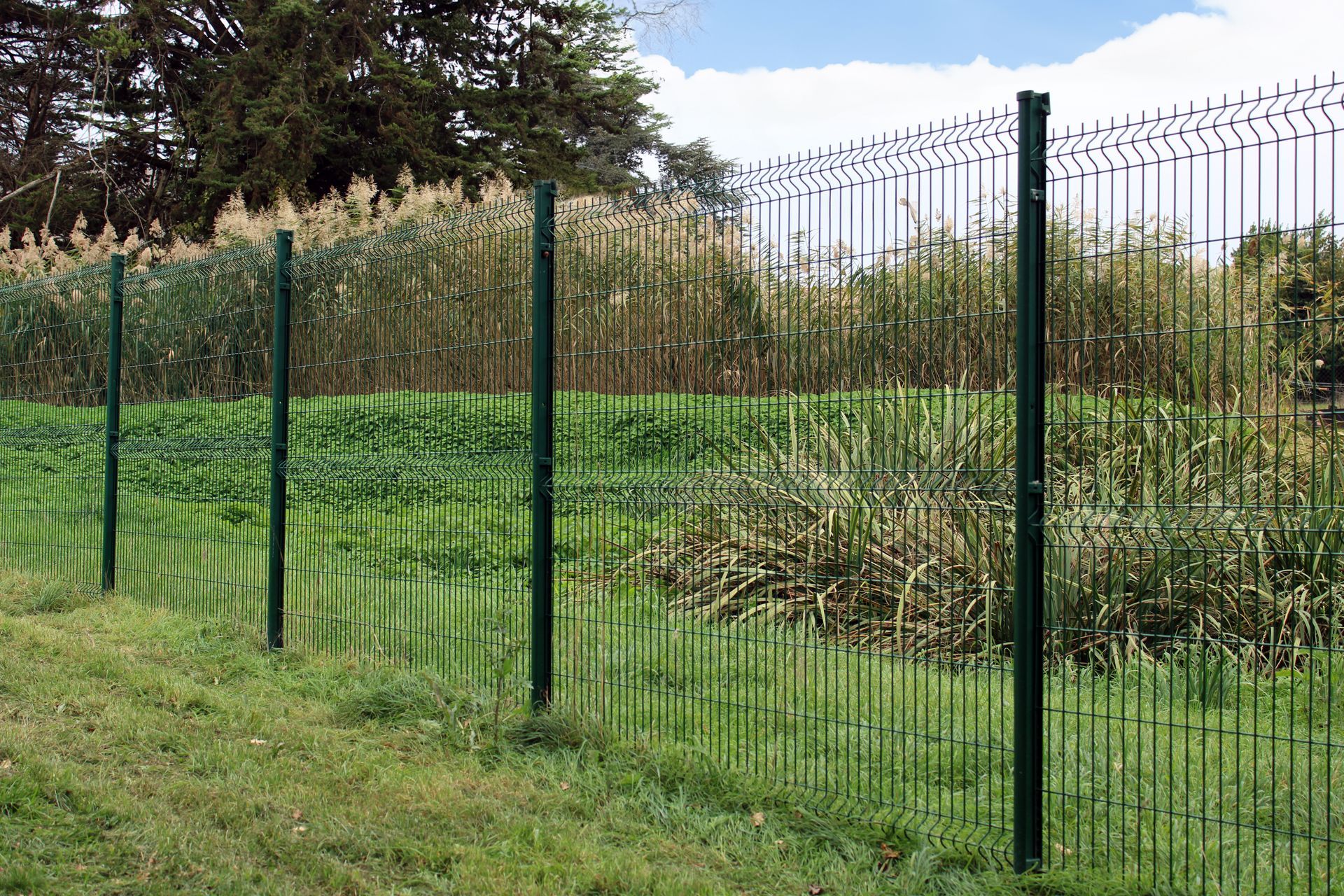 Clôture en fil de fer vert dans un champ herbeux, avec de hautes herbes et des arbres en arrière-plan.