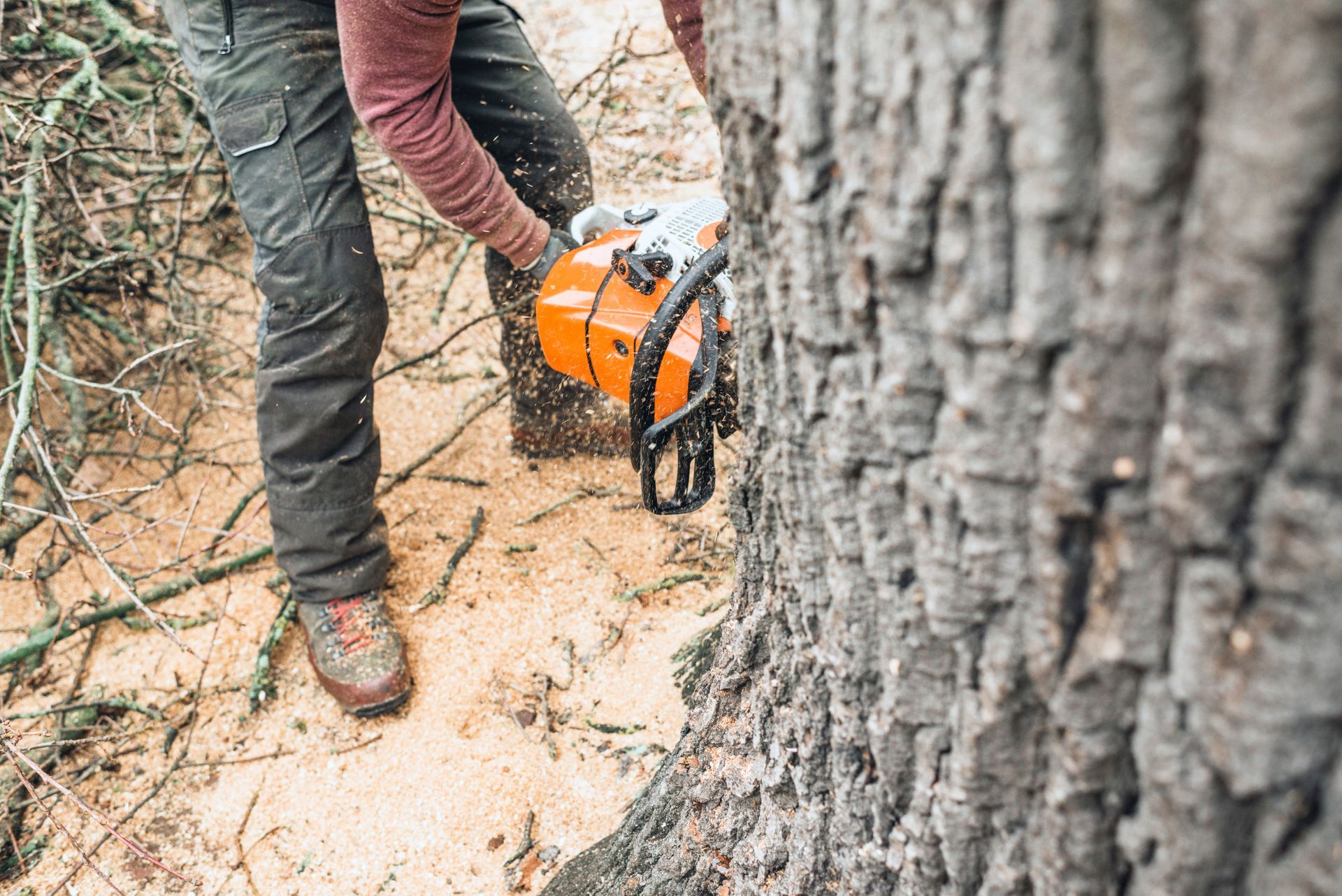 Une personne en tenue de travail utilise une tronçonneuse orange pour couper un gros tronc d'arbre.
