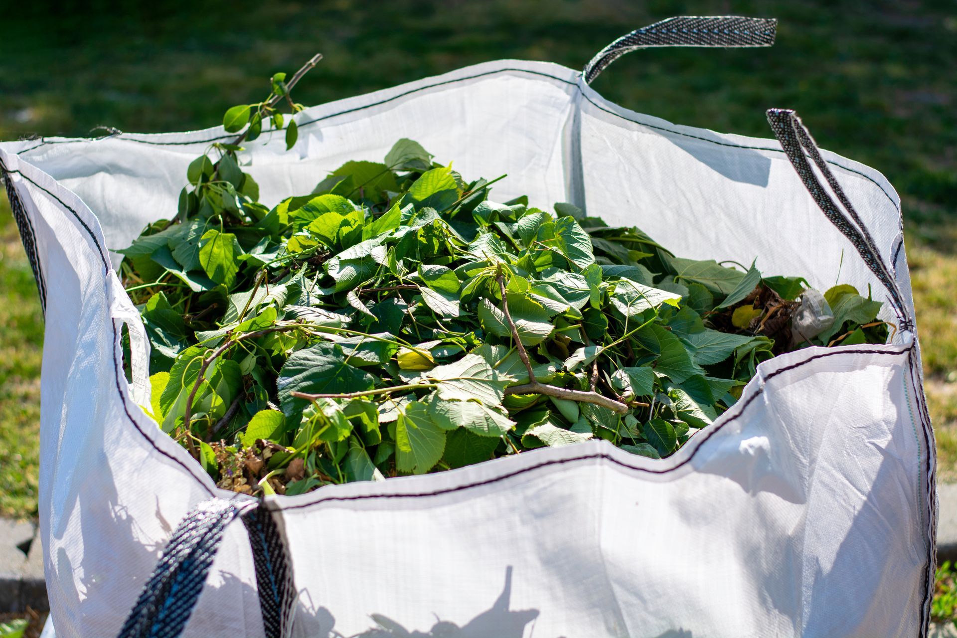 Sac blanc à déchets verts rempli de feuilles vertes et de brindilles.