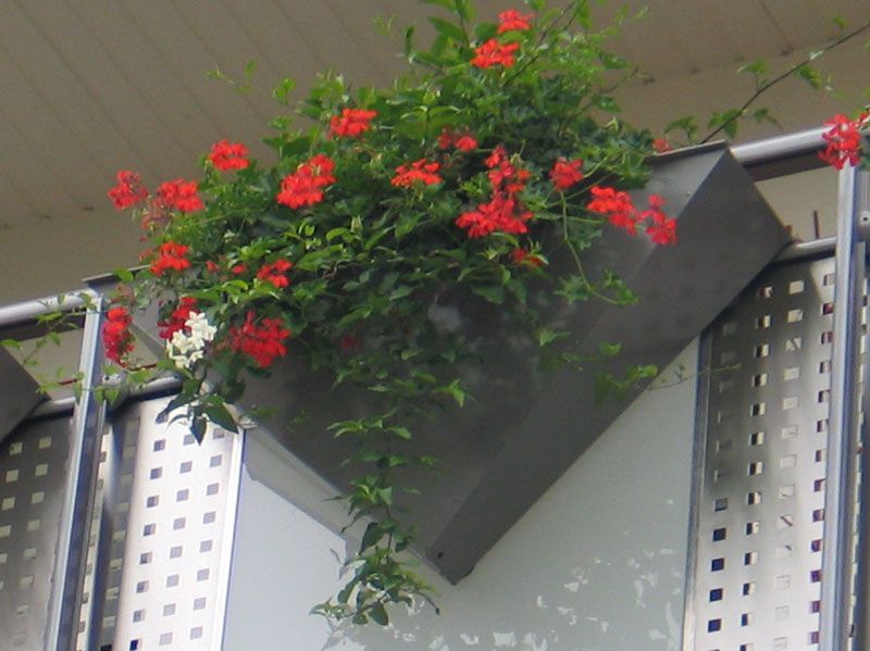 SPEER GmbH & Co.KG Metallbau