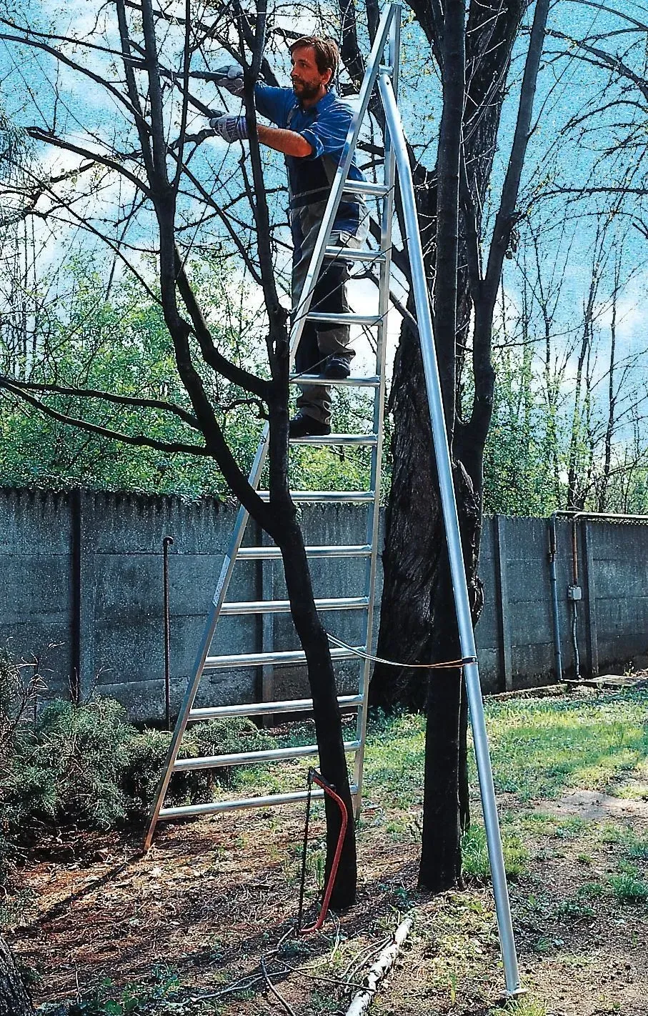 Un homme taille un arbre depuis une grande échelle ; arbre et clôture grise en arrière-plan.