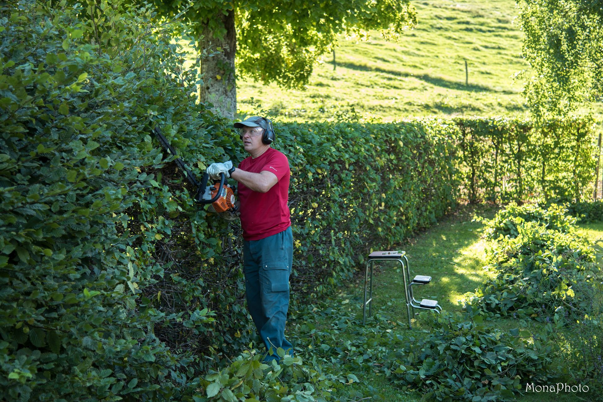 Ricou services - ramassage feuille