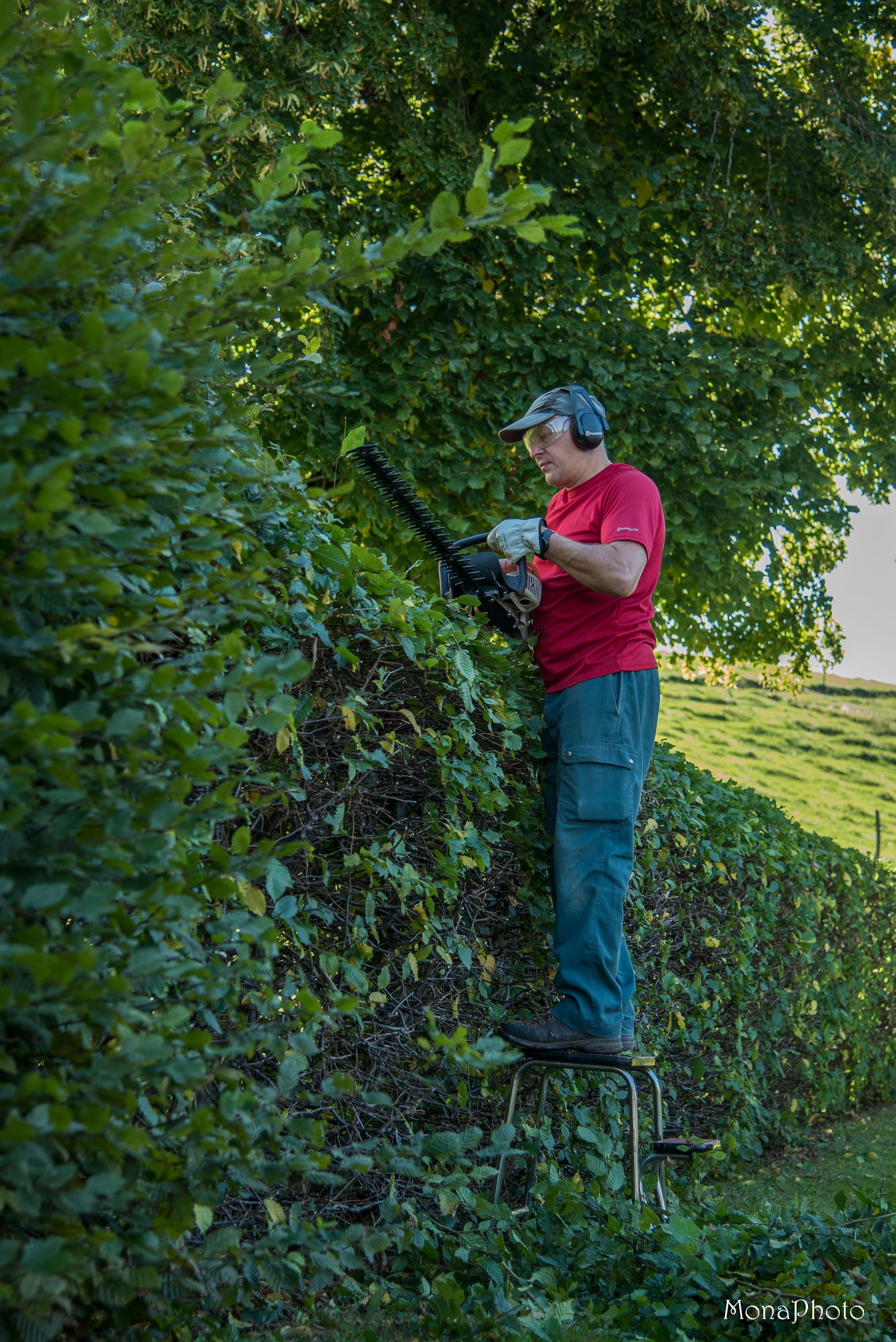 Ricou services - tonte