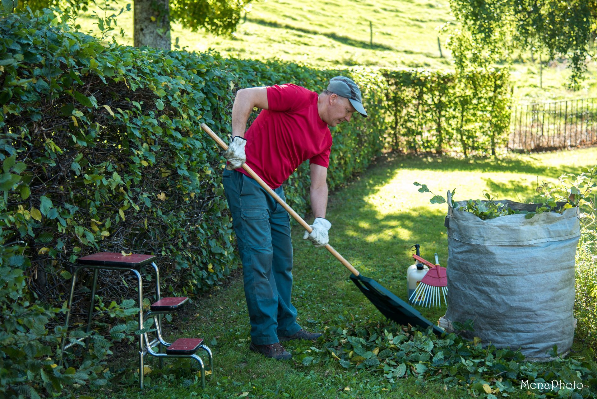 Ricou services - haies