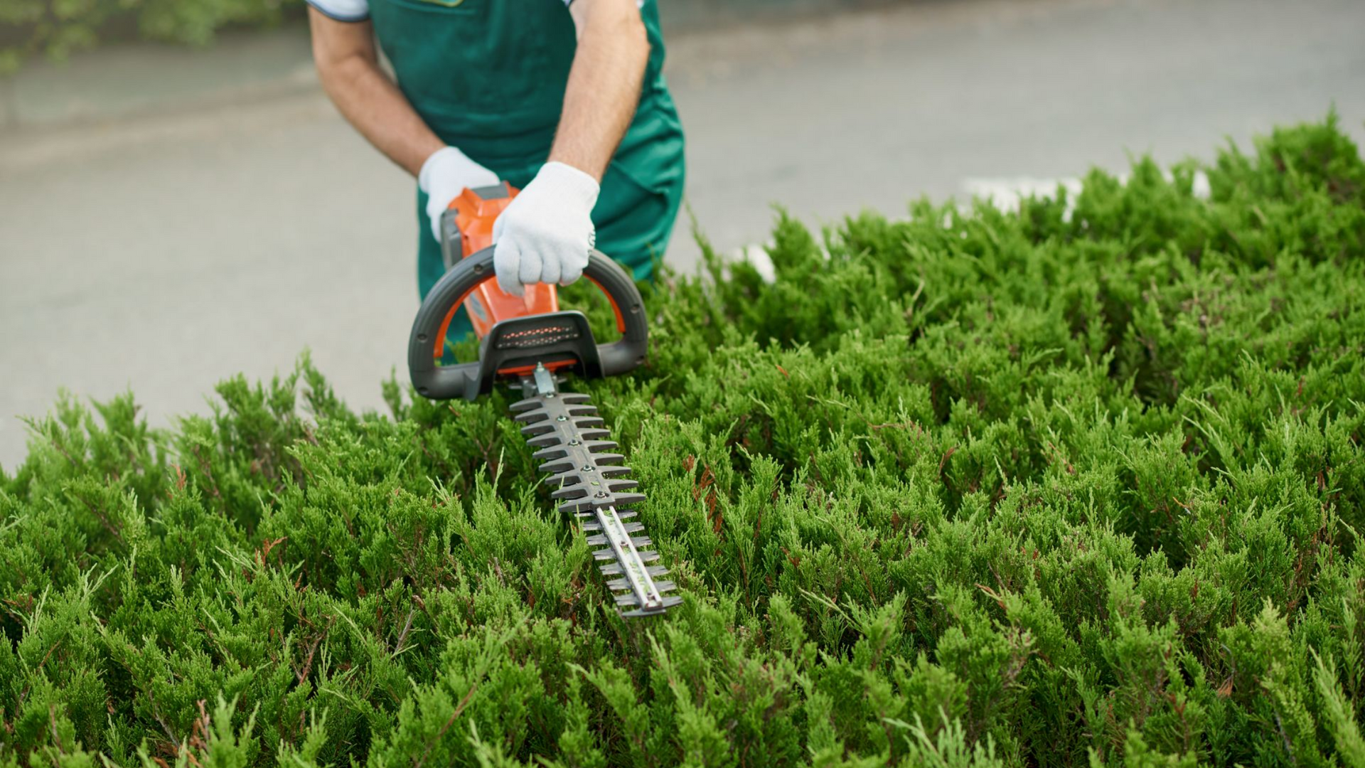 Personne en salopette verte utilisant un taille-haie sur une haie verte.