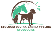 logotipo cabecera
