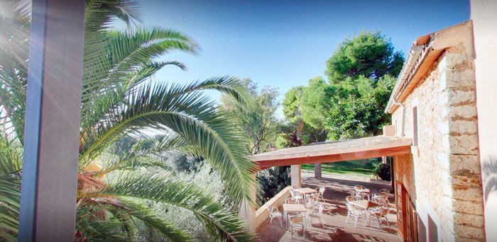 Una casa con balcón y palmeras al frente.