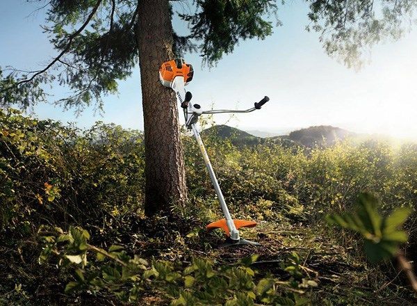 Un pot en terre cuite contenant des plantes mortes se trouve au milieu d'un champ d'herbes hautes et de fleurs sauvages.