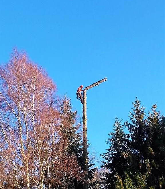 Une personne travaille au sommet d'un grand poteau électrique en bois. Ciel bleu dégagé. Des arbres entourent le poteau.