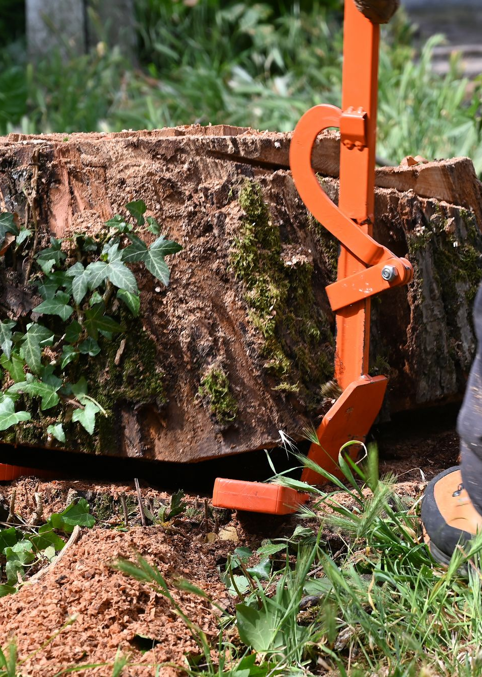 Broyeur de souches Vermeer jaune broyant une souche d'arbre en copeaux de bois.